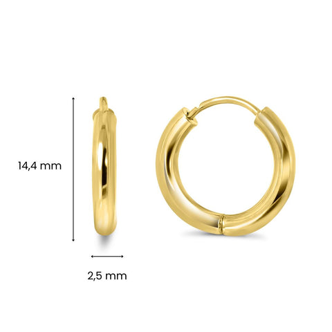 Cercei de aur VX6TH0002.5-10