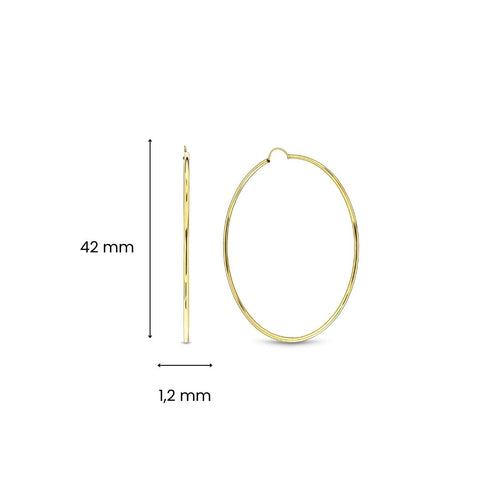 Cercei din aur galben 01.2881.40